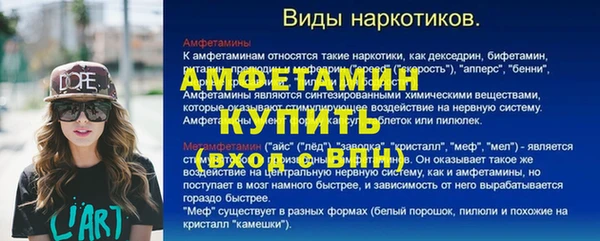 прущие грибы Богданович