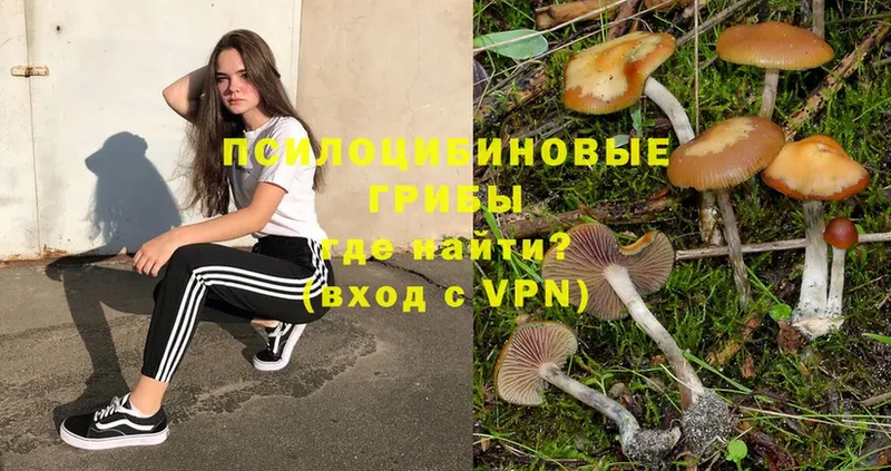 площадка наркотические препараты  Верхоянск  Галлюциногенные грибы Cubensis 